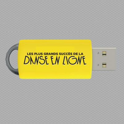 Cle usb danse en ligne 1