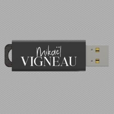 Clé USB Mikaël VIGNEAU Le nouveau bal